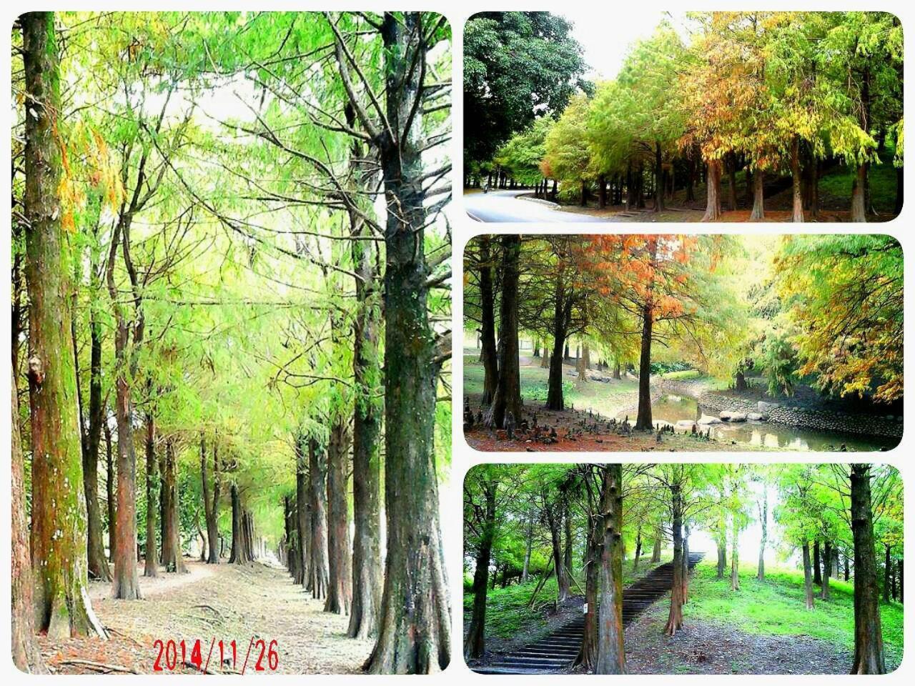 公園 B&B Luodong Exterior foto